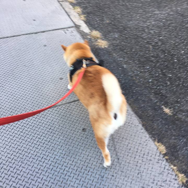 Ab419866 7bfc 468a 9462 17f366c8e5dd 1603928037853