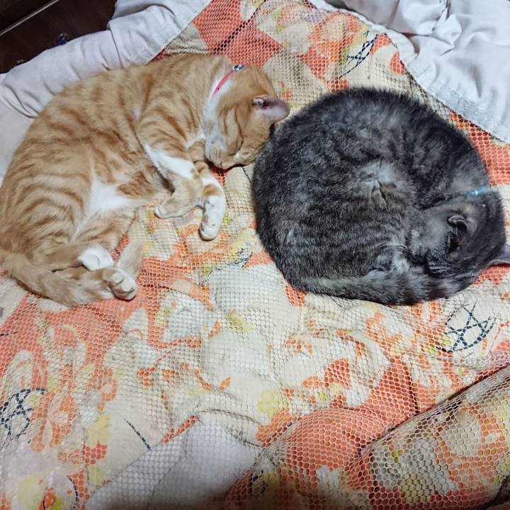 Ab41d3ef 6806 4485 a824 51ea4d261aad 1570623123839