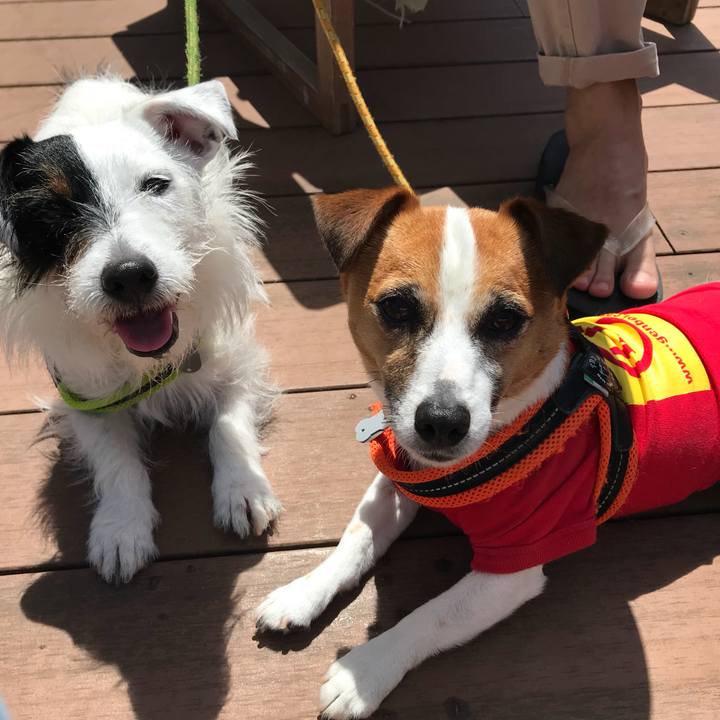 Ab41e390 8708 4e04 8481 9b0311423edc 1524966316229