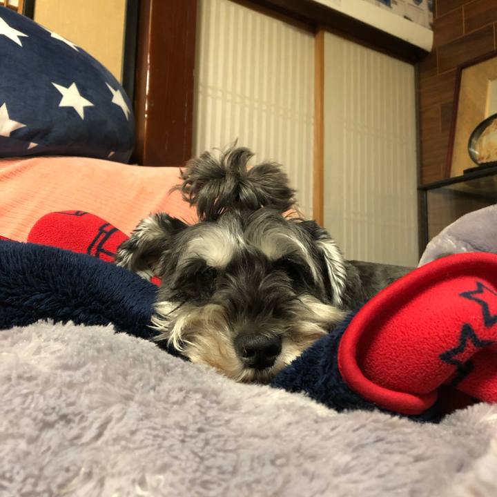 Ab41e8bc e4ed 4d96 af23 a23fedeebd3f 1634742822755