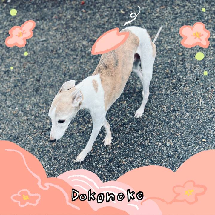 Ab42547c 443c 4b46 a47f 0d8097d28623 1775549832731