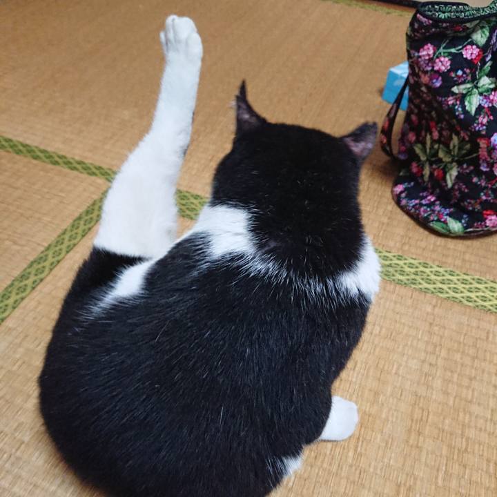 Ab426889 ea18 48e7 bdd1 4ed15d86b465 1532745075313