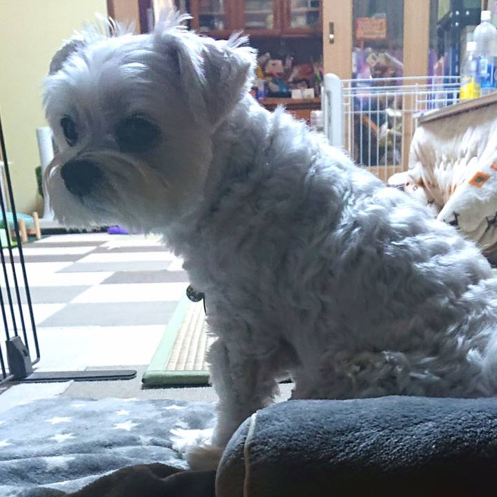 Ab42929c 6799 4331 aa95 6e1a2c6fbb43 1668326109864