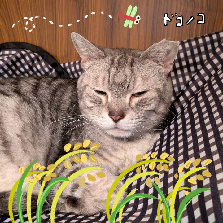 Ab4297d5 85f3 47c1 85e8 442b6f2cb154 1761495701038