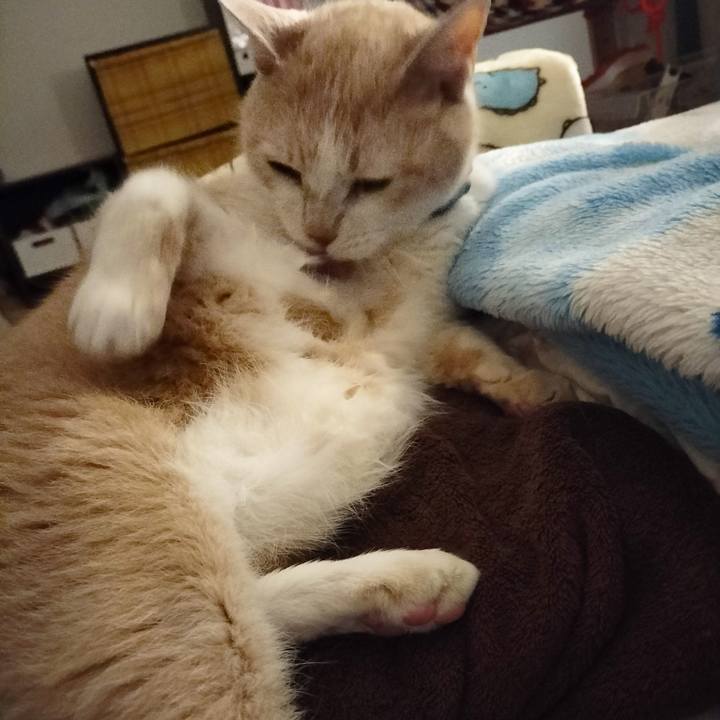 Ab42b8ff 2f60 429f a3e7 871ec7c8c9a5 1680867904999