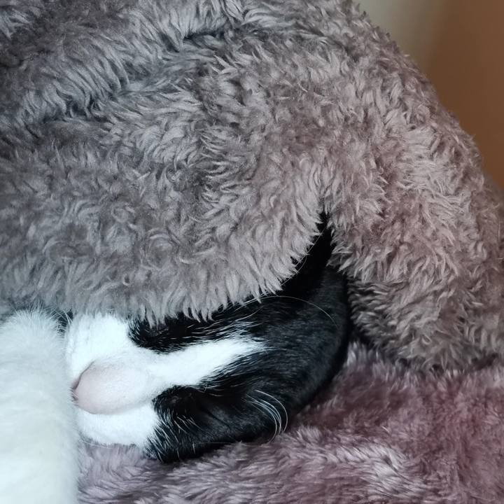 Ab42d7f0 4ada 43f2 979c 86a2907b349e 1708663344982