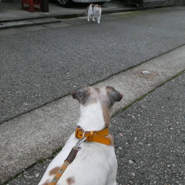 Ab42f566 5eec 49c3 82a3 b57827227c31 1594552448534