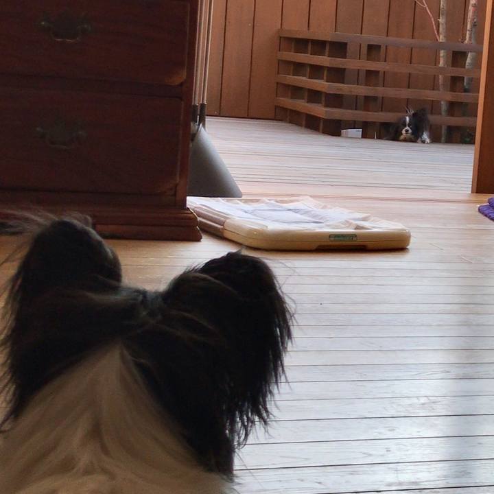 Ab42f6a7 8485 4ff3 a42f 80423d603391 1519978510598