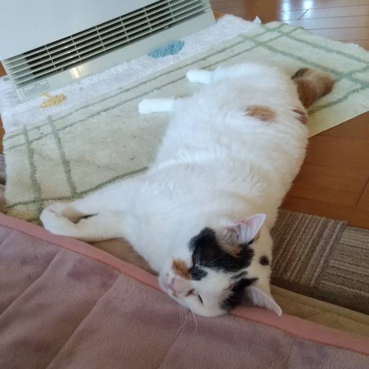 Ab431a9d 20a1 417f b264 3befcb273fc0 1672873965034