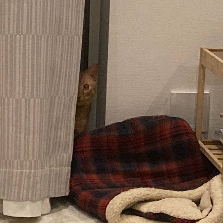 Ab433351 3e27 4e87 942e 28b52d732d6c 1616415946425