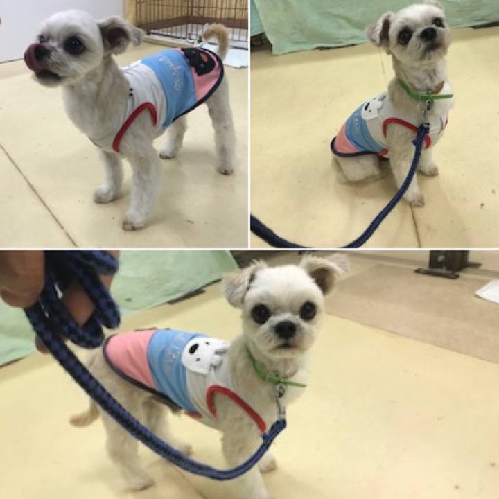 Ab43418f 96a3 470b 9aec 77184d2d6bda 1573122047314