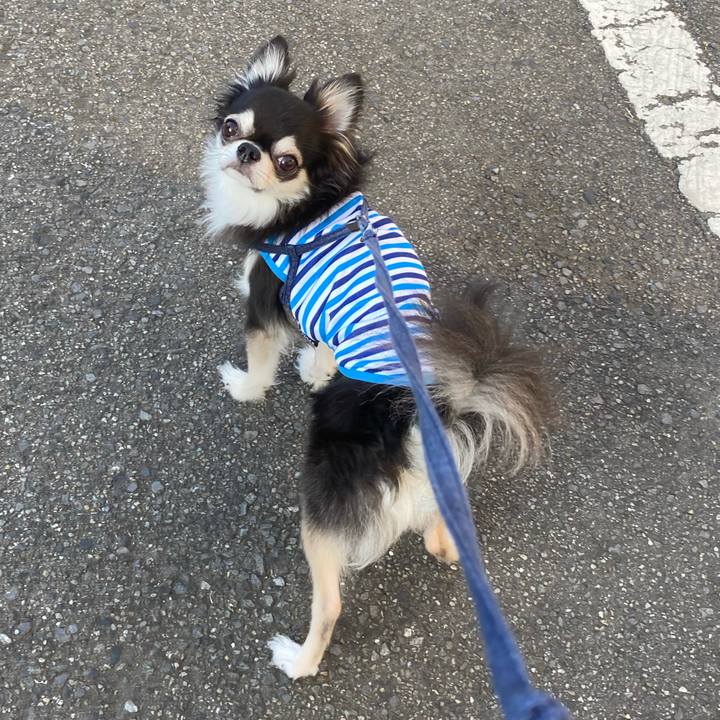 Ab438a27 86ac 4a10 93ec 55028b85cef3 1690644112814