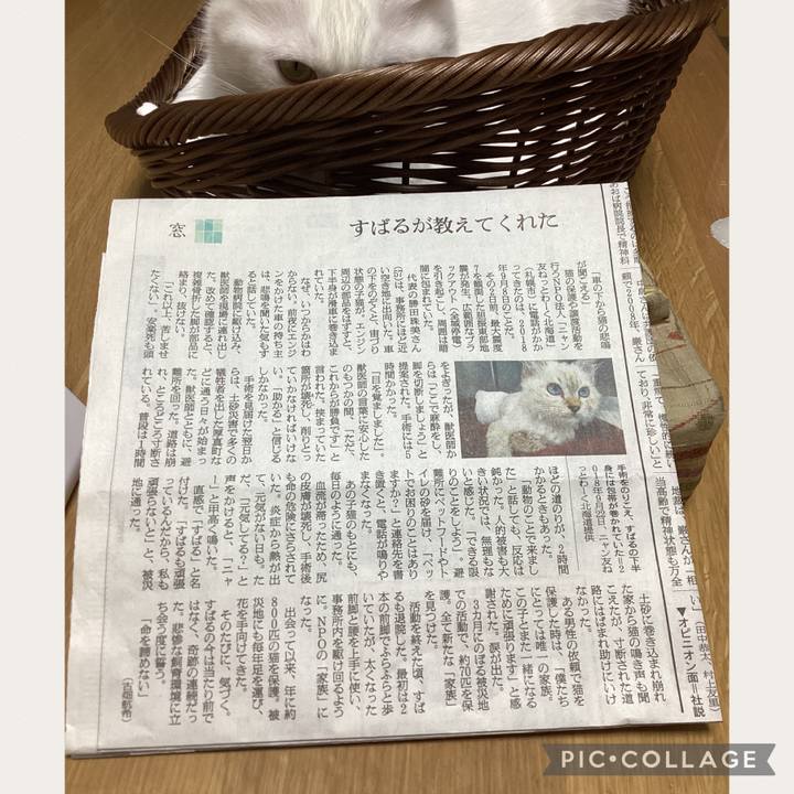 Ab439a26 096c 4dcb a5e8 b4e09da6734a 1698623804963