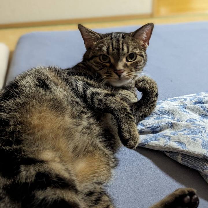 Ab439edb 4266 4cd3 928a 85a809d4f1c4 1689477030990