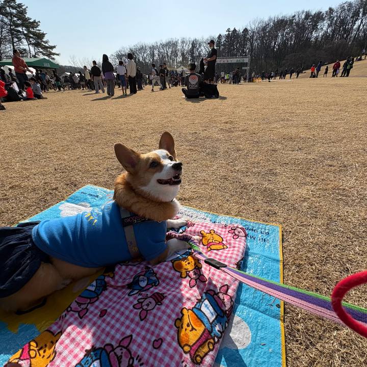 Ab43acb4 ecc2 4f49 99ca 0bcc98b76185 1771808514883