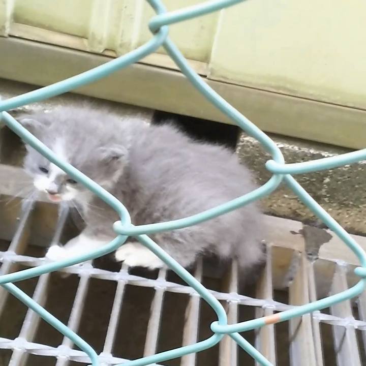 Ab43c62b 378e 4979 a29e 162480540790 1557730340655