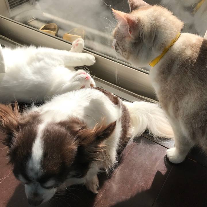 Ab43cead 17b1 46b7 90d9 19b40806ca6b 1518926774509