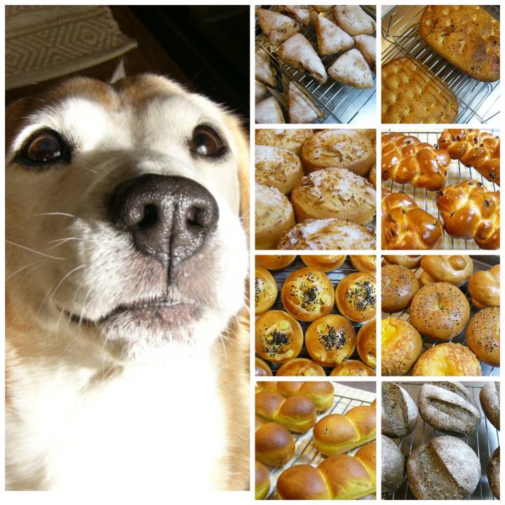 Ab43ff1e cac4 4b61 b469 ee3593e65489 1676860903368