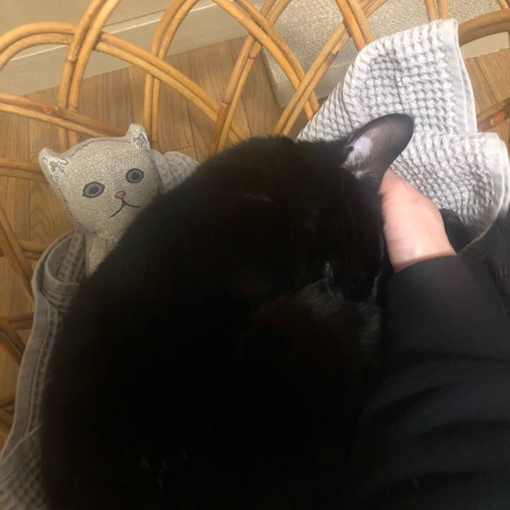 Ab4413c6 34ba 405f 920a 560ccde764b8 1608729126098