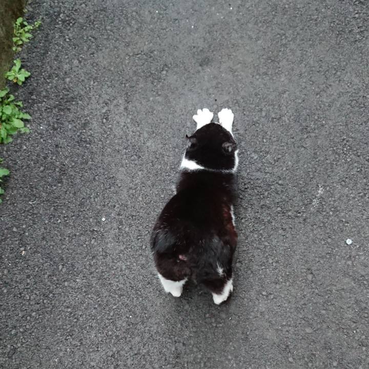 Ab44188d 81bd 4dcc 8d90 30985e050cbb 1648549156764