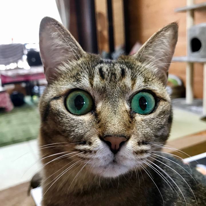 Ab4445d2 fe80 4786 832d 7e2e1729f31e 1521855148529