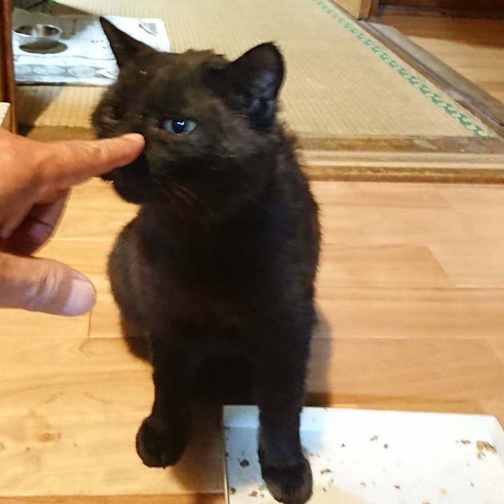 Ab4496e7 3e57 45ea 877e 3761895bda2b 1622985662932