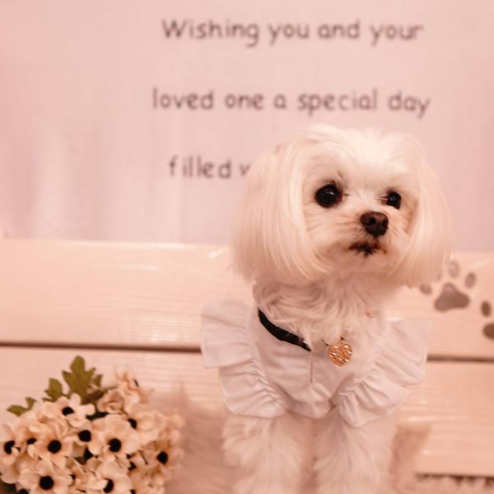 Ab4497ff 3b68 43aa 8a91 11f9688f2013 1656892759744