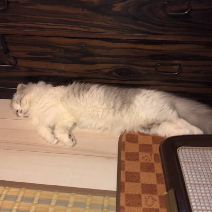 Ab449ffe 2b76 433b bf6a c8cb87a1c238 1602503780343