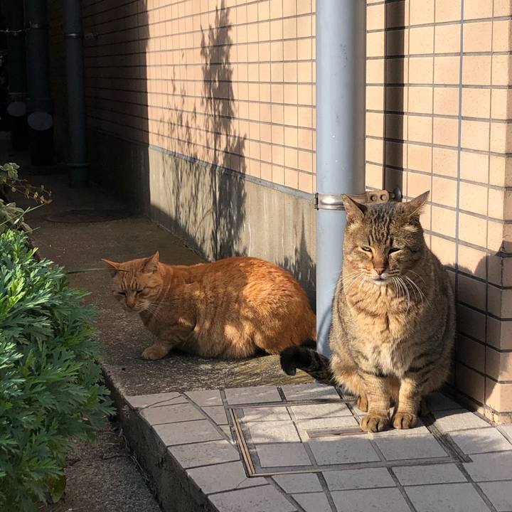 Ab44b7bb 8681 46e2 8b23 25540654b9f9 1580973207704