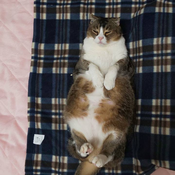 Ab44c3f8 2f57 4ad6 9d66 808314310808 1765844569312