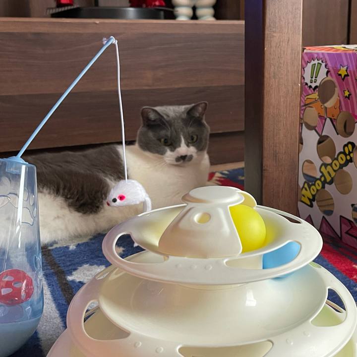 Ab44cd8f e505 4f22 9967 23b4b5f16e18 1661728012024