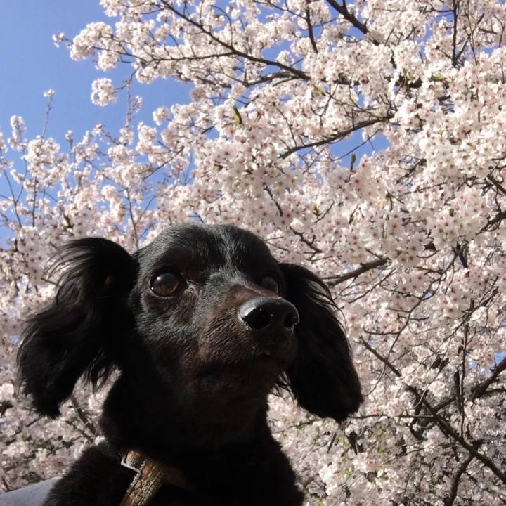 Ab44d3bc 7f6a 4140 ad45 0f55fcd98c4d 1585694006538