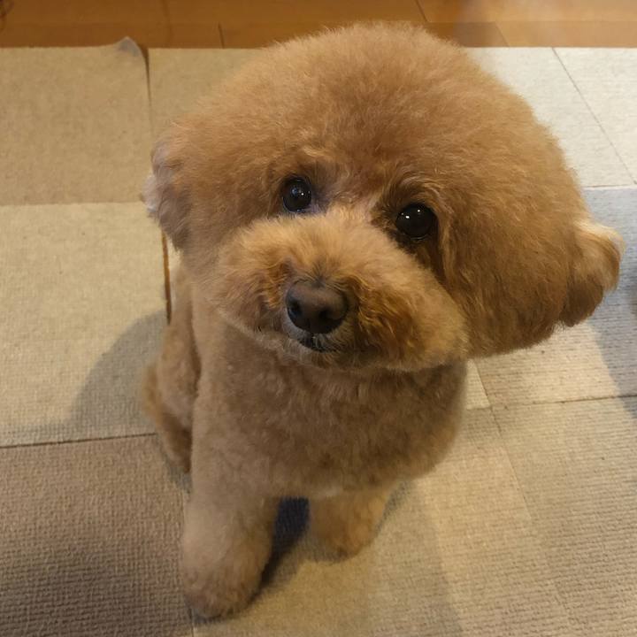 Ab44e6c5 d61e 4482 b11c cf9462ef7776 1611738313428