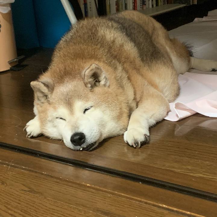 Ab455200 c363 4d4b b89b 1db8a106c1b6 1664888965066