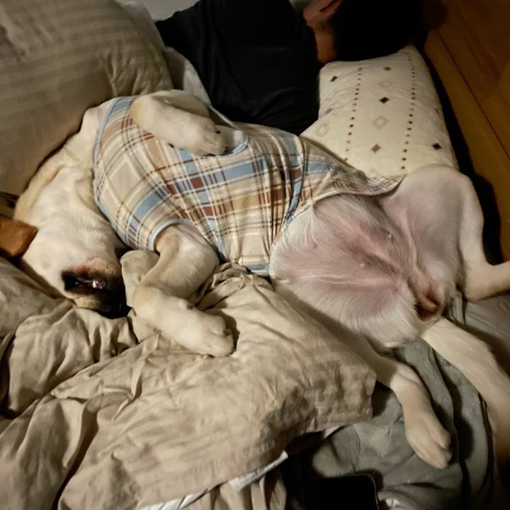 Ab4558d4 1978 4cf7 bdbd 0730f4f1f8a3 1643159162285