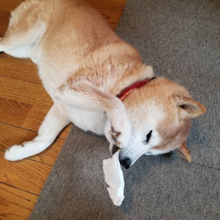 Ab456314 888e 43cc 9b6c 57f96f5da031 1736642759383