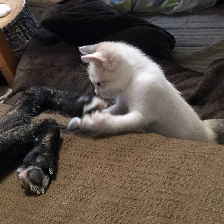 Ab458d3c 0afa 40b6 b889 1e507e2efe48 1598055680005