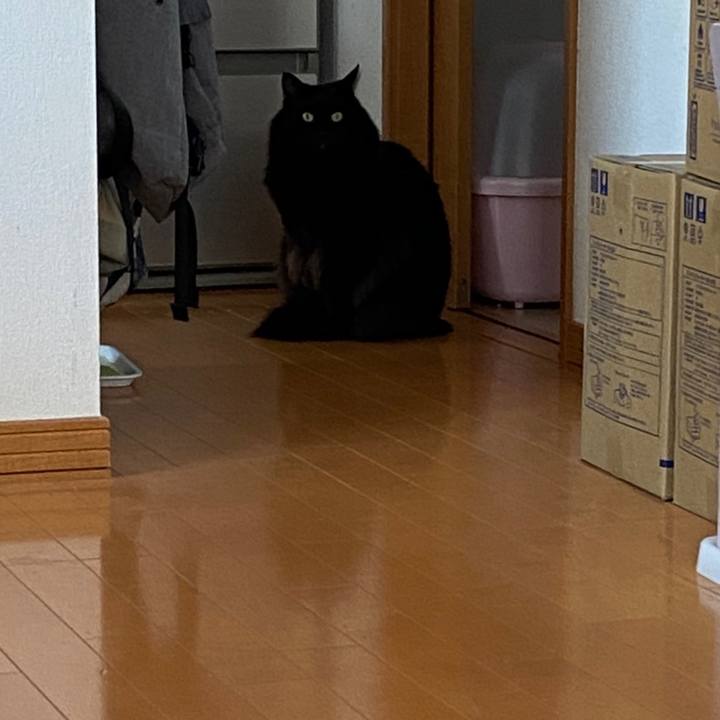 Ab459b23 a631 4a59 b9eb 50968f8bc876 1608555436844