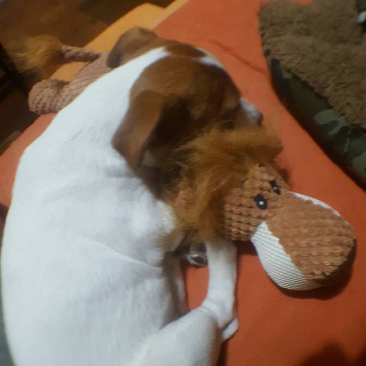 Ab45b9dd 437a 4647 988f 8f8cf1975006 1553511445946