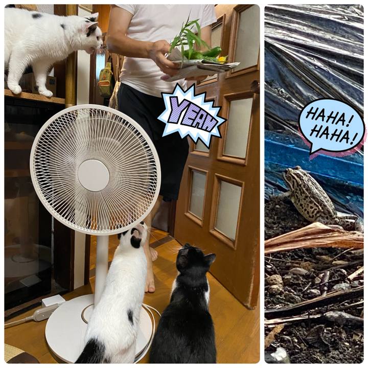 Ab45fac4 e171 4af7 b19c 7efc9755571a 1660609682211