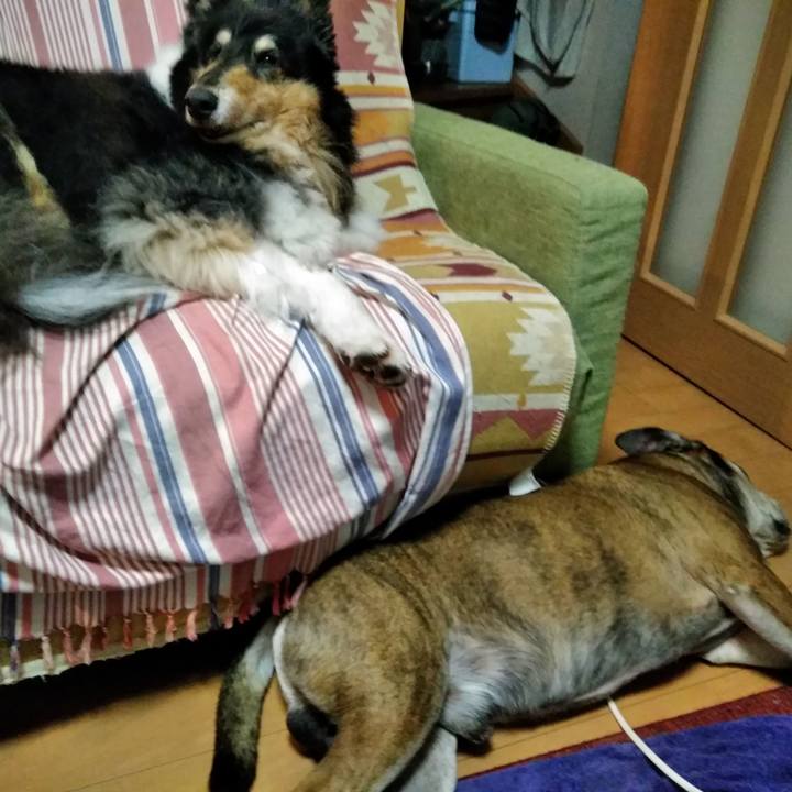 Ab4694cc d2f3 4ffd a199 c1ecd6f13224 1563632710424