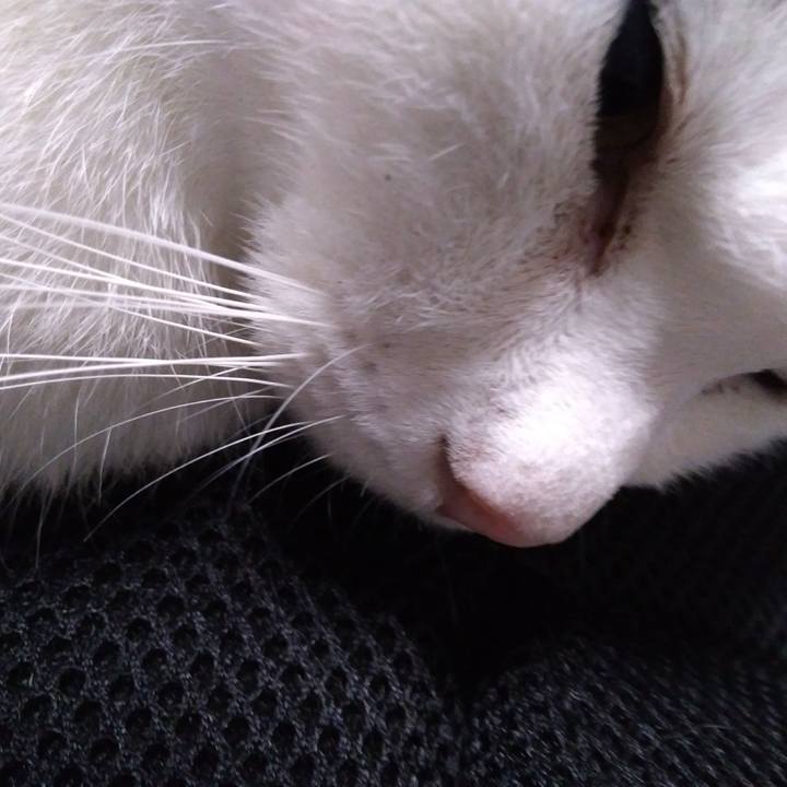 Ab46e5b6 8ce0 4f7d 909f 8991a424fd8c 1555244697992