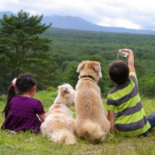 Ab46ec50 208e 440c 9a3b 9a9bfe0e04d2 1676534095421