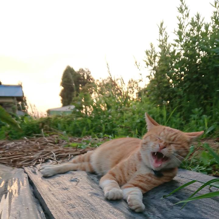 Ab4705a2 f8c1 4cf8 9ffb 68090004b8d2 1564653434729