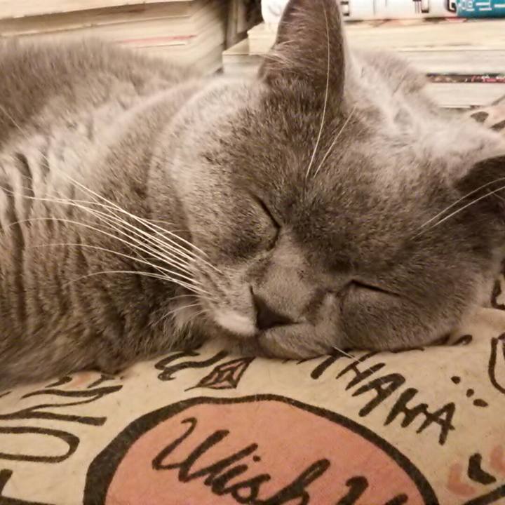 Ab4730f6 cd61 4475 8300 995b25db08b0 1581411364129