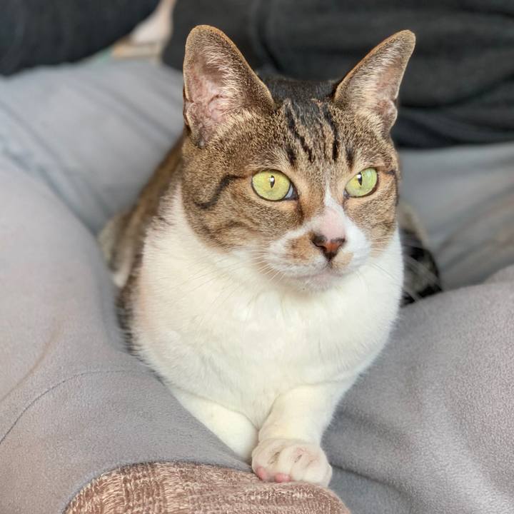 Ab47359d 7672 46b9 b7d3 7906b37a232f 1549157486589