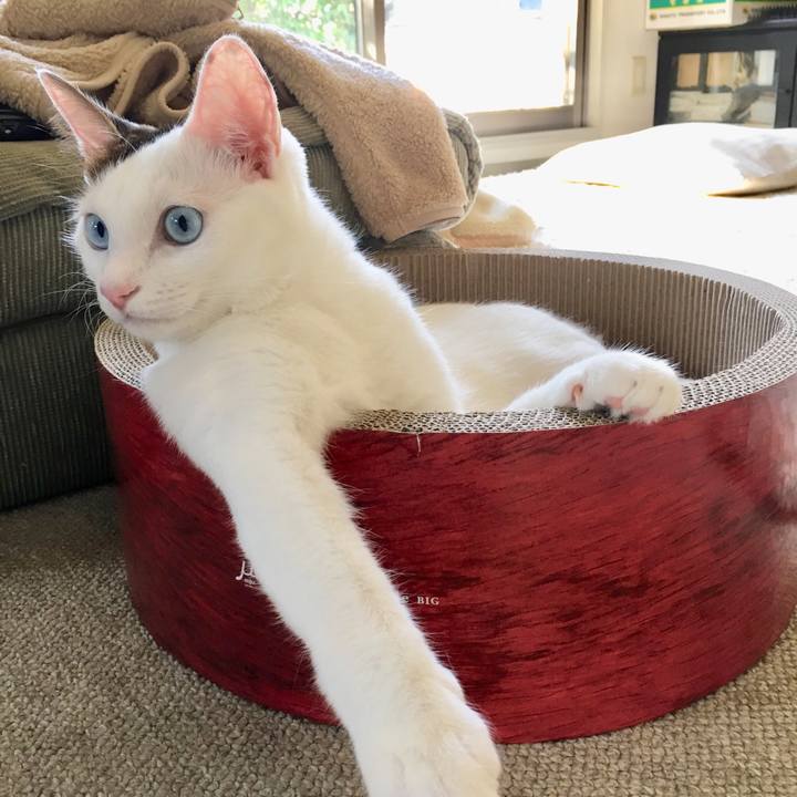 Ab47714a 15d3 4c3c 8c07 80cc8b6d6054 1510376671117