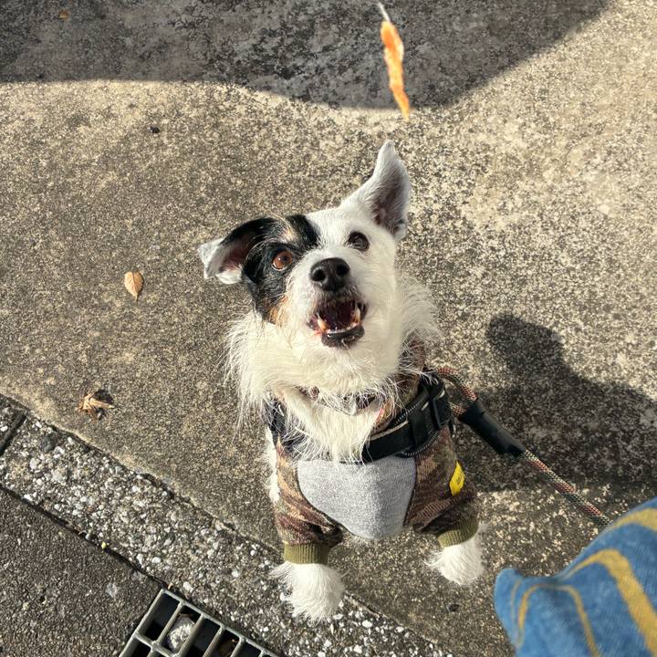 Ab4786b7 038a 46aa b8c2 f150d2489e75 1764810195240