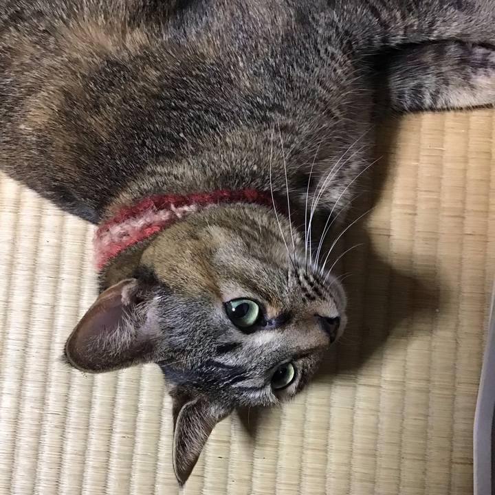 Ab47ace9 9486 4eaf b7c3 30e4ca54464b 1636278401971