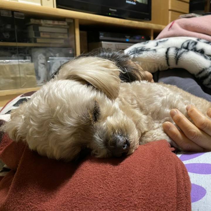 Ab47cf78 387d 49d3 ae2f f2a3c7ffc98b 1584368336887